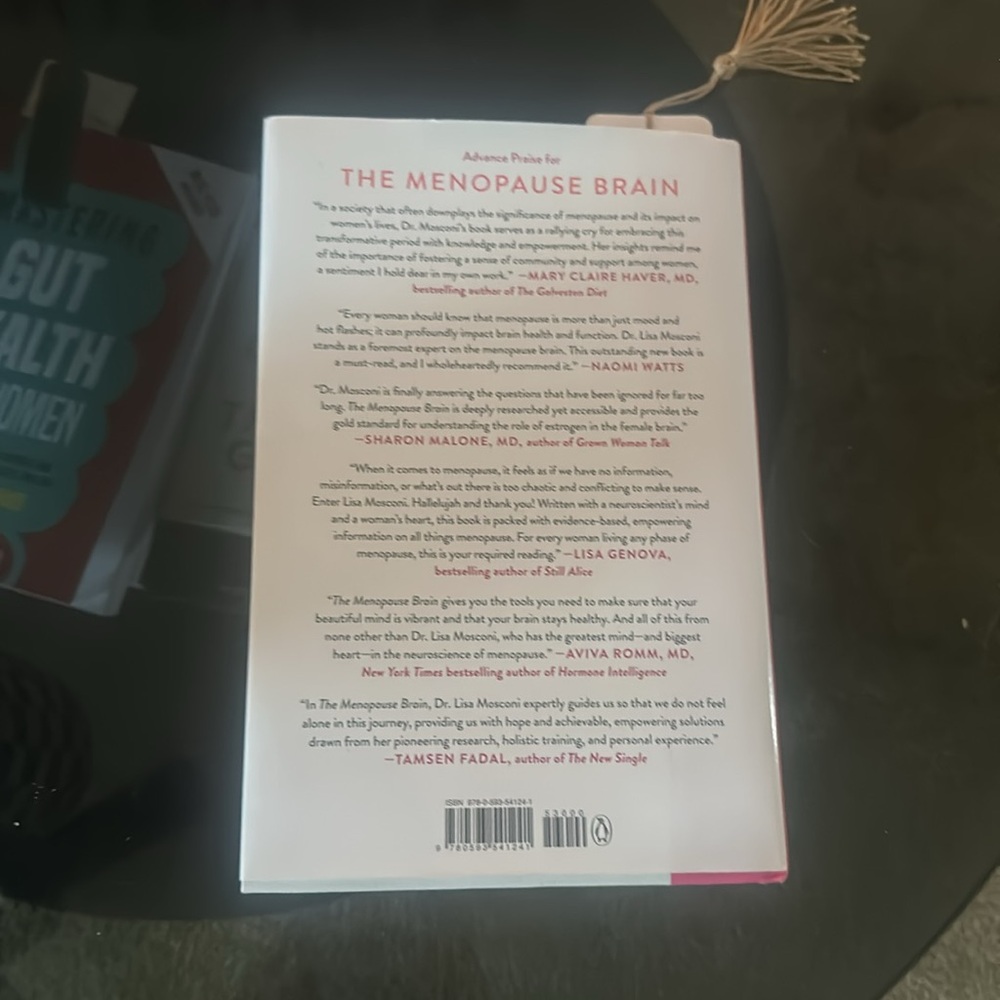 The Menopause Brain Book View 2